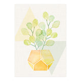 Geometry and House Plant (Print Only) thumbnail