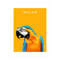 Macaw (Print Only)