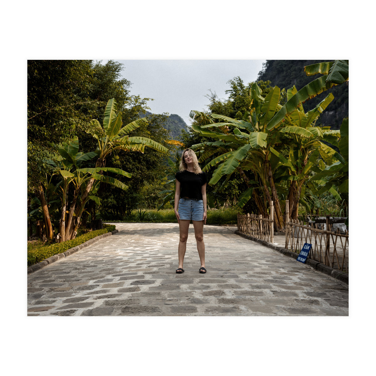 Spiritual Journey (Print Only)