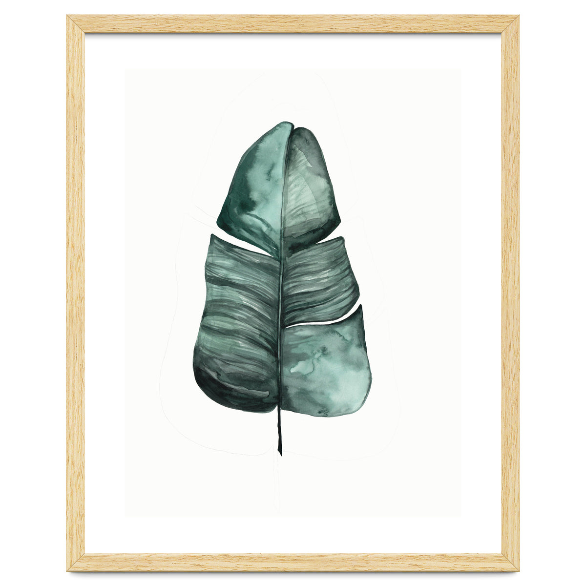 Botanical Illustration Banana Leaf