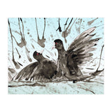 Fighting coots (Print Only) thumbnail