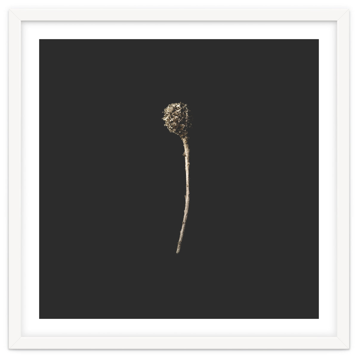 Simple Golden Botanical - Square