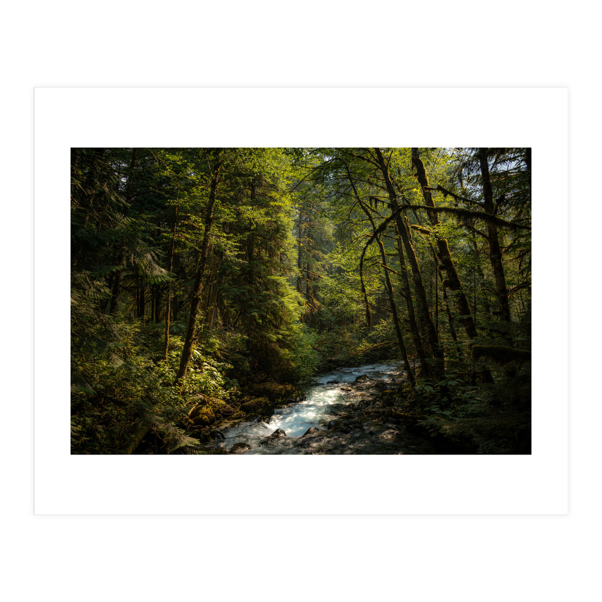 Cascade River (Print Only)