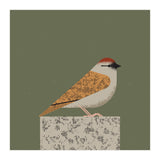 Sparrow  (Print Only) thumbnail