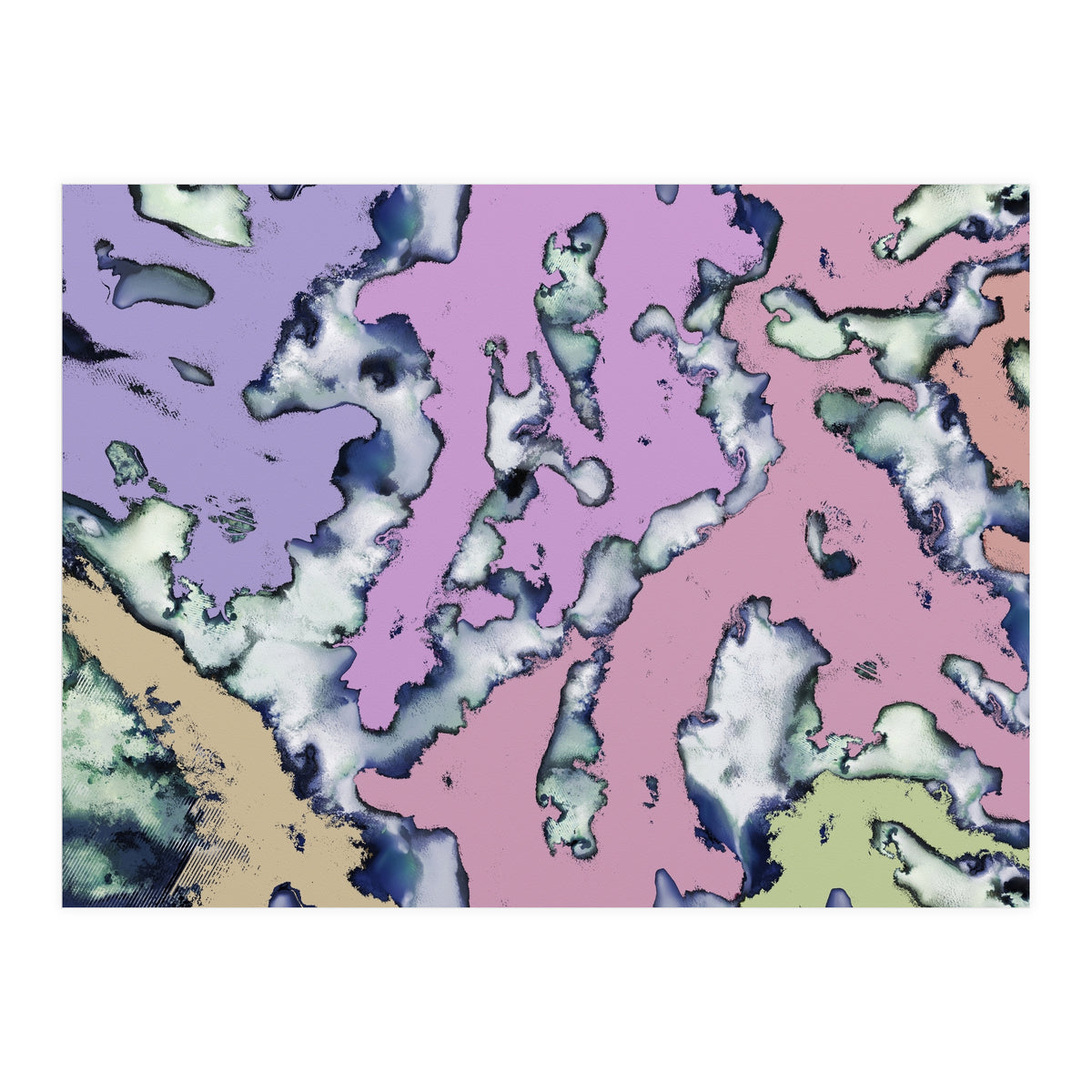 A Soft Choice (Print Only)