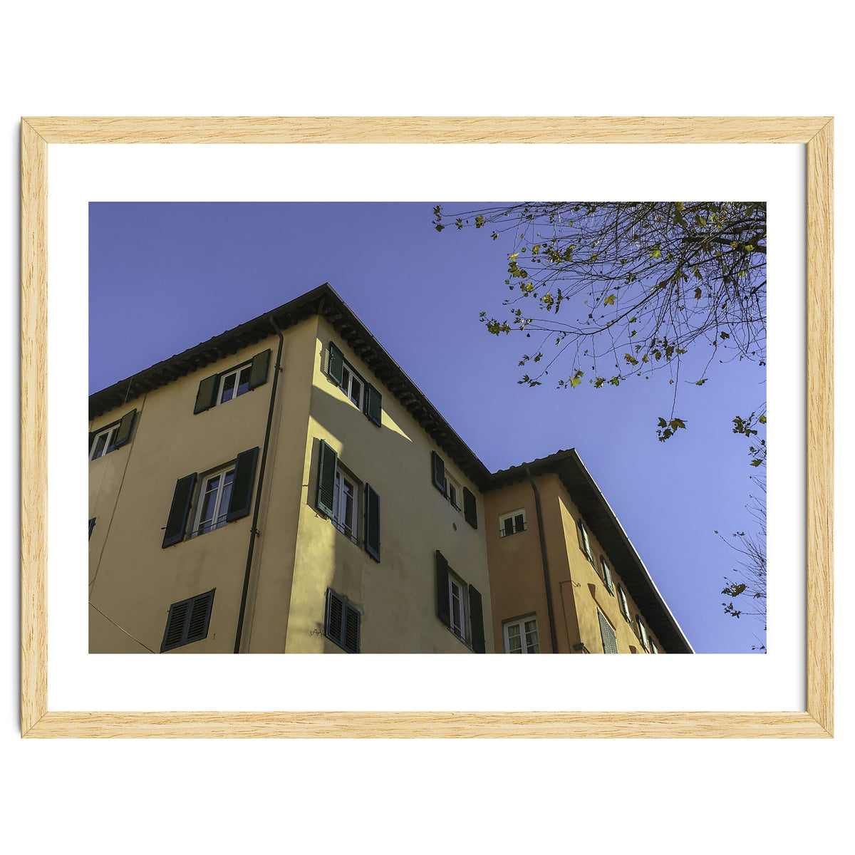 Windows From Tuscany 2