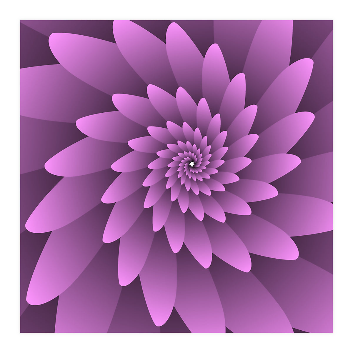 3 D Floral Modern Pink Art (Print Only)