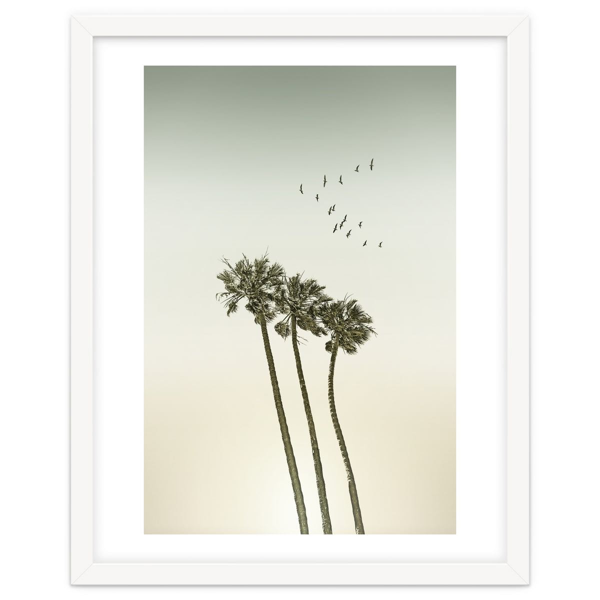 Vintage palm trees at sunset