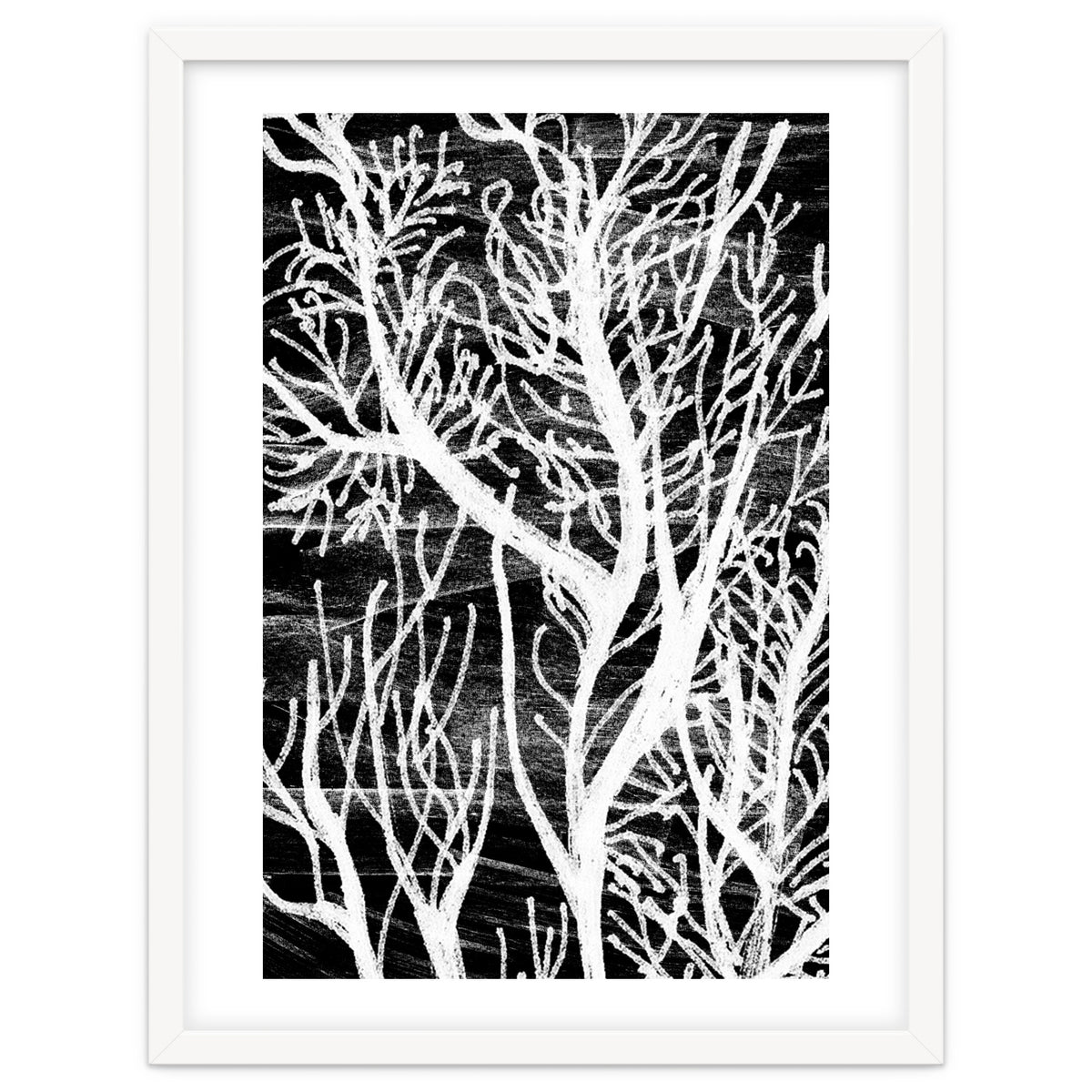 Desert Colours Collection 5