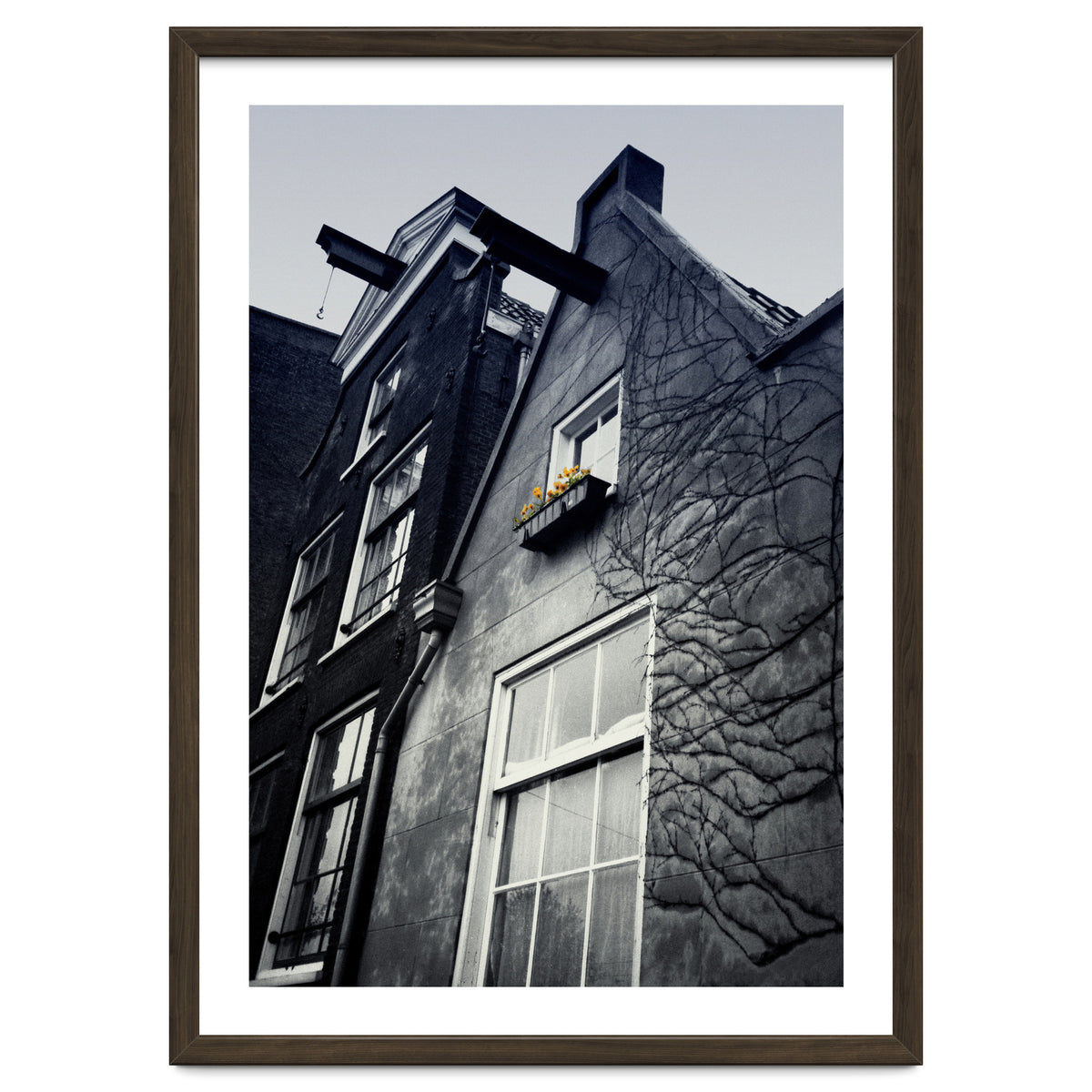 Amsterdam. House With Yellow Flowers.