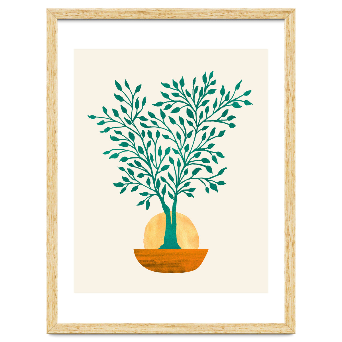 Emerald Ficus Sunset