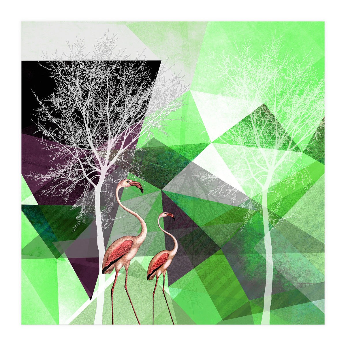 FLAMINGOS P21  (Print Only)