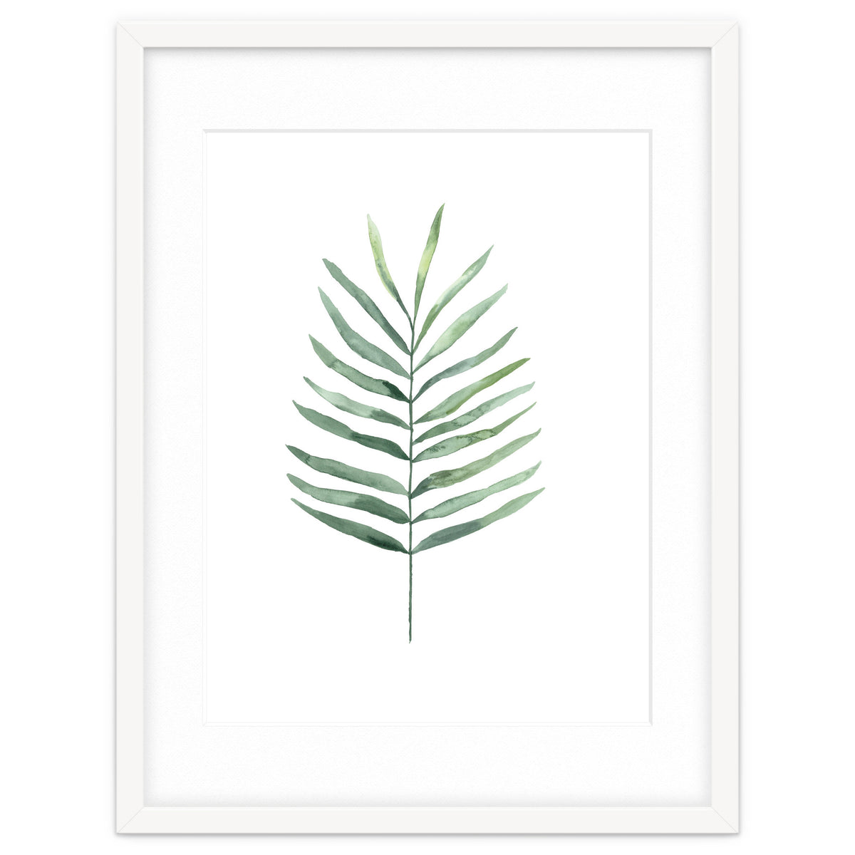Botanical Illustration Fern