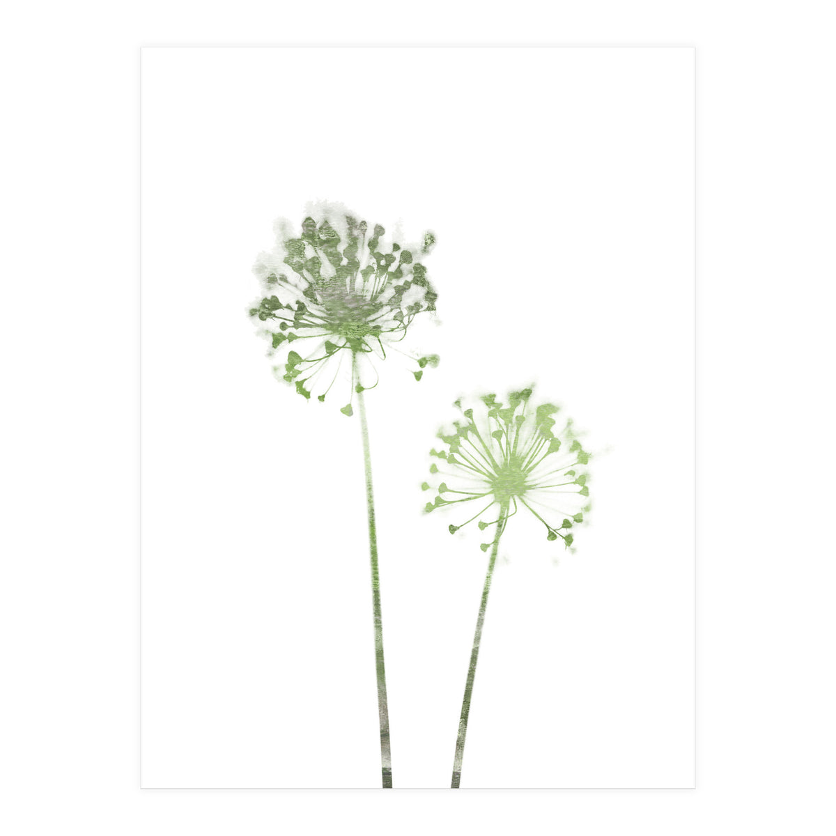Olive Green Dandelion (Print Only)