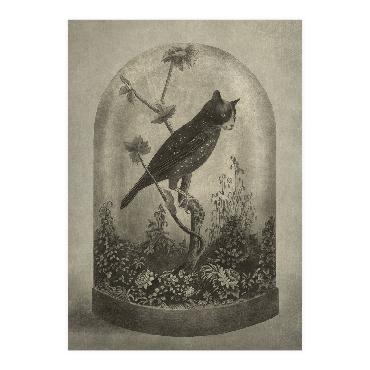 The Curiosity (Print Only)