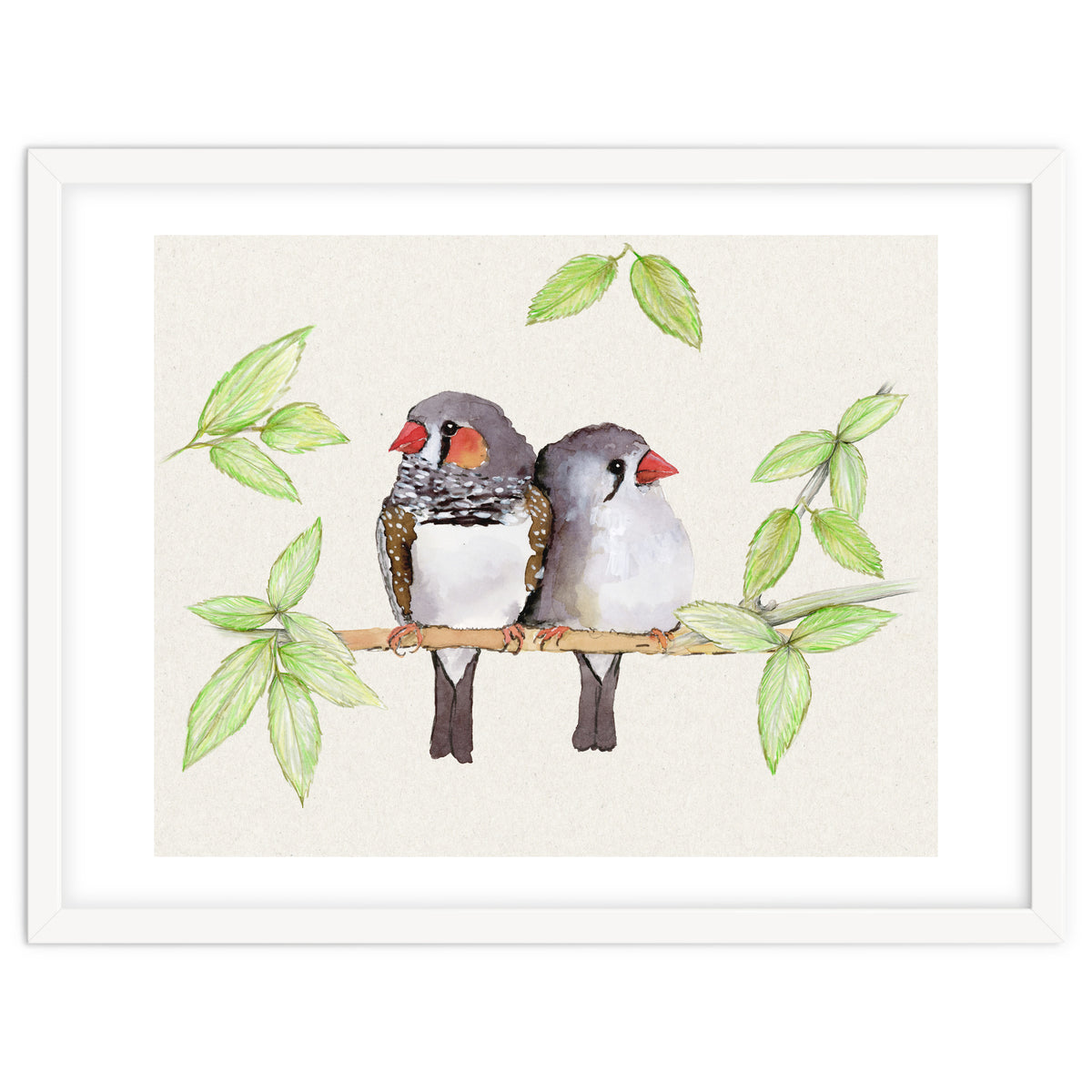 Sweet couple of zebra finches