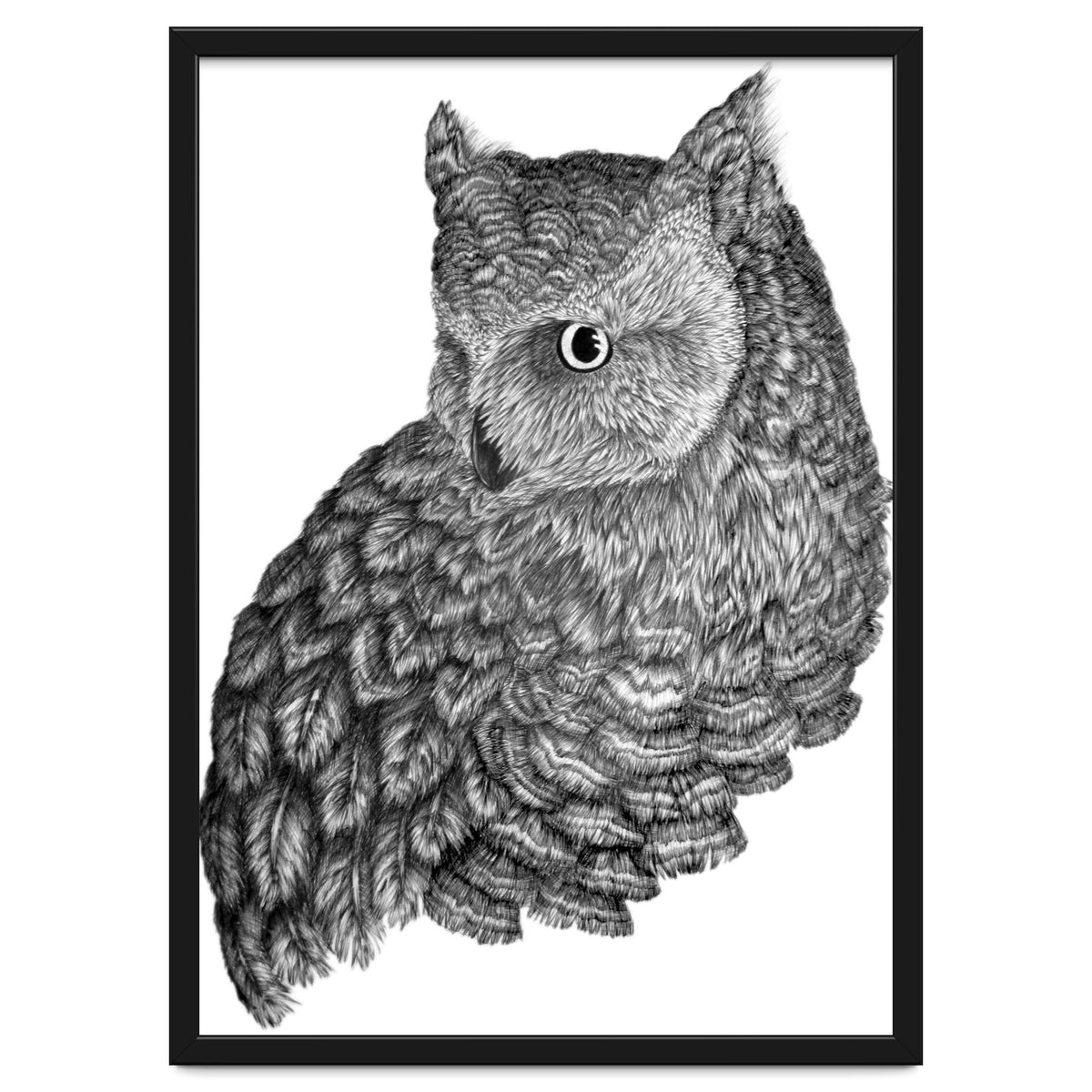 A Friend For Forsythe