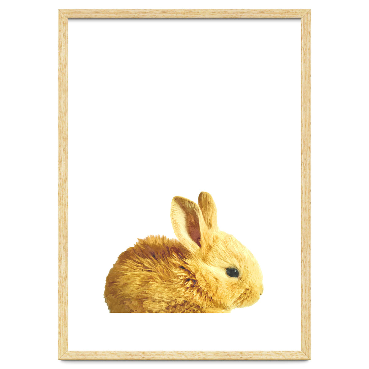 Bunny Portrait