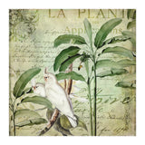Nostalgic Cockatoo  (Print Only) thumbnail