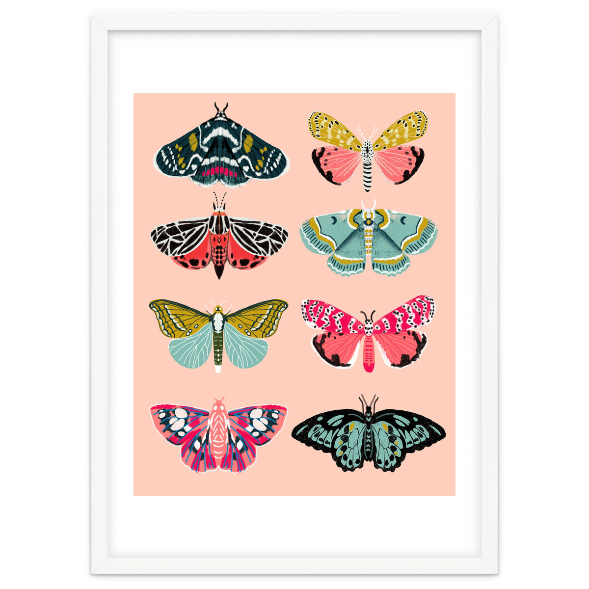 Lepidoptery No. 1