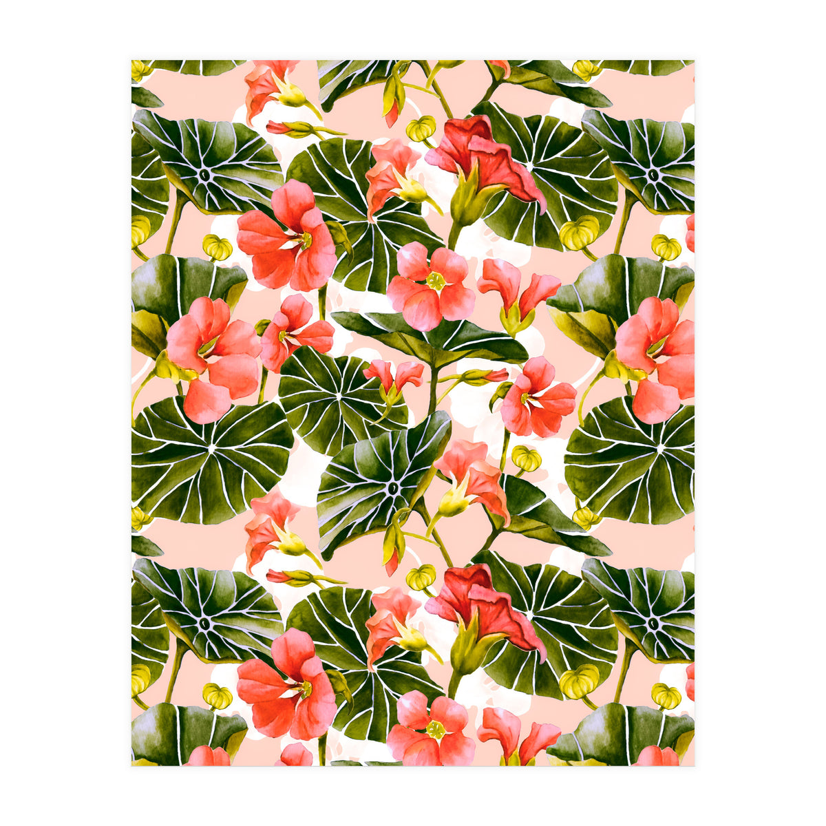 Nasturtiums watercolor 03 (Print Only)