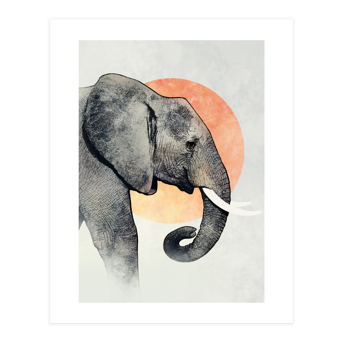 Elephant (Print Only)