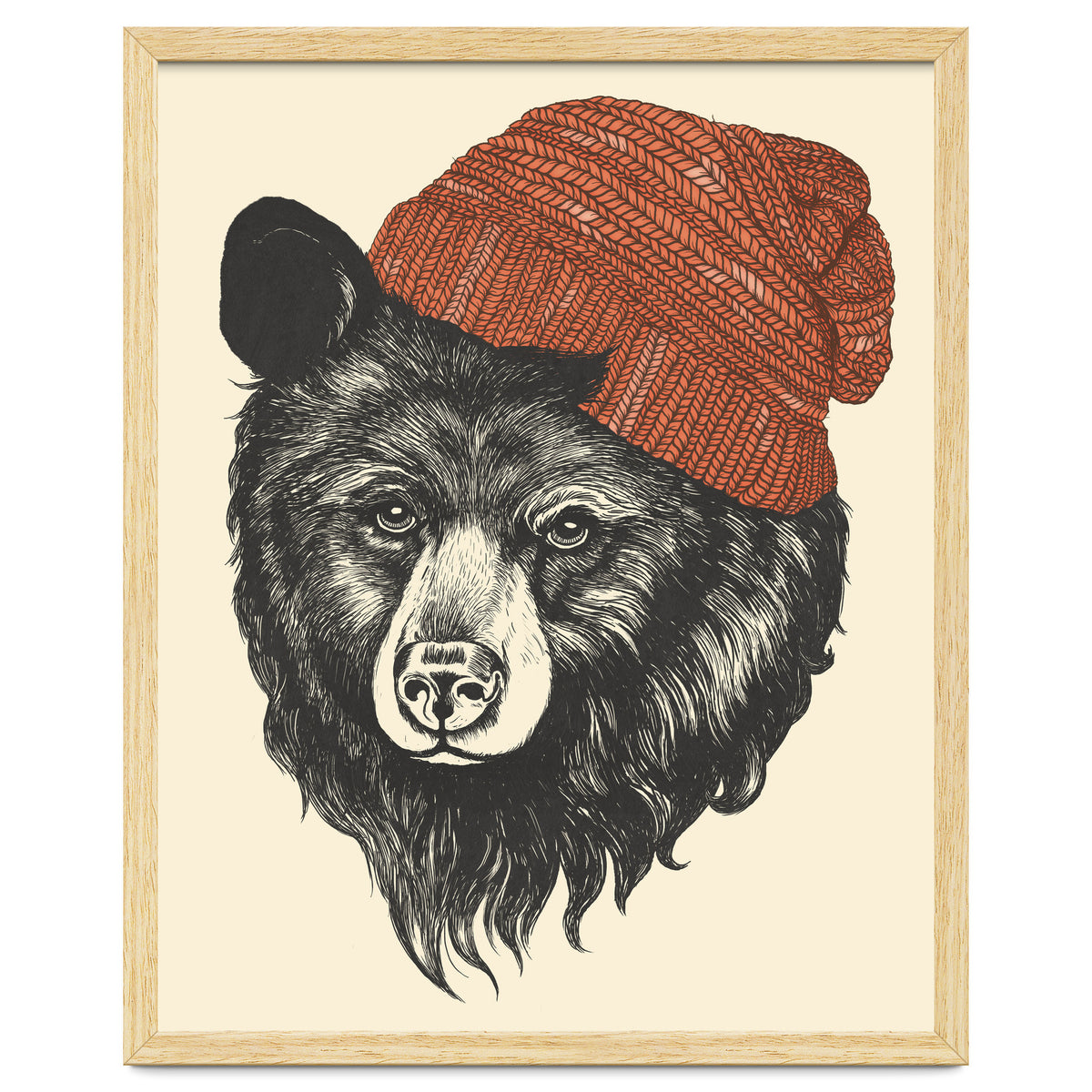 Zissou The Bear