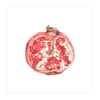 Pomegranate (Print Only)