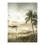 BONITA BEACH Bright Sunset | Vintage (Print Only) thumbnail