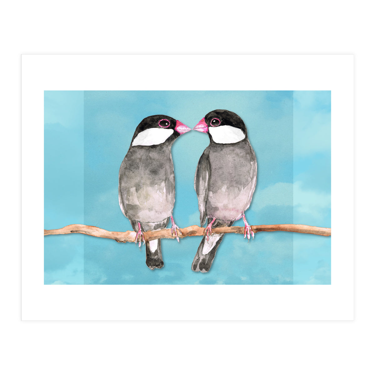 Two kissing Java sparrows (Print Only)