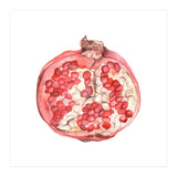 Pomegranate (Print Only) thumbnail