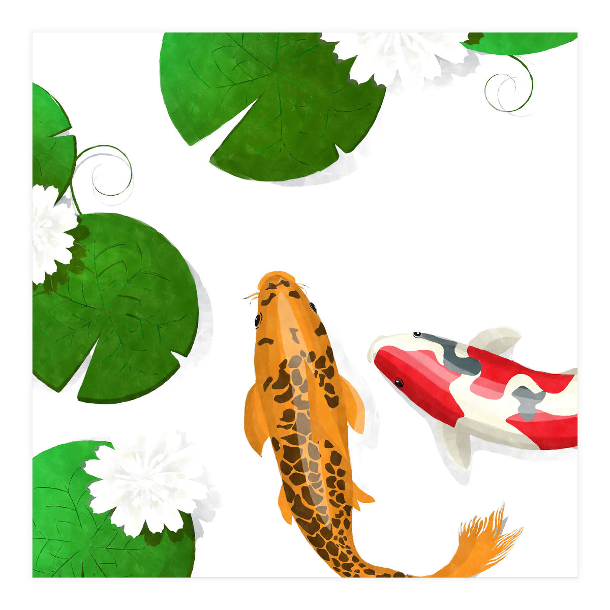 Koi fish background (Print Only)