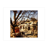 Pashupati Nath Ji (Print Only) thumbnail