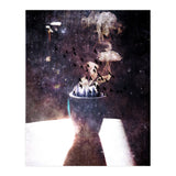 Space Odyssey (Print Only) thumbnail