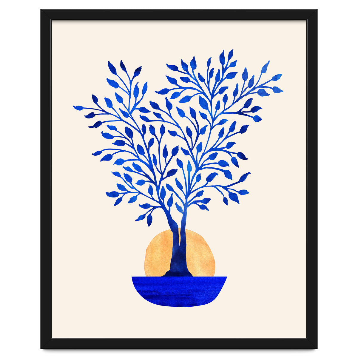 Indigo Ficus Sunrise