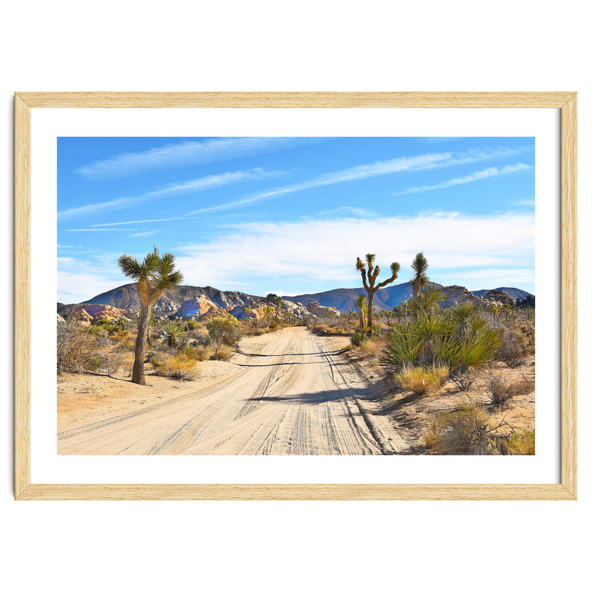 Joshua Tree II