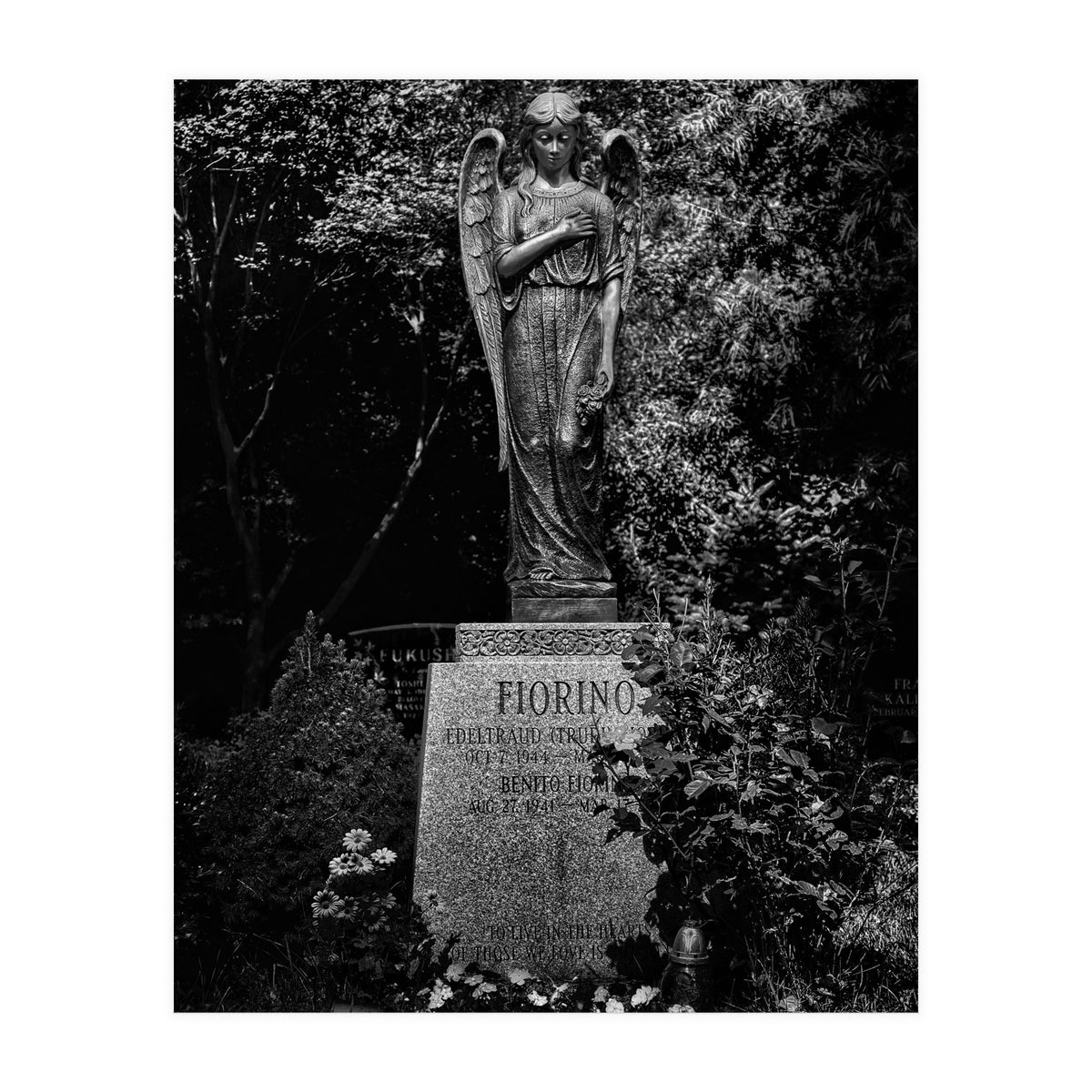 Tombstone Shadow No 18 (Print Only)