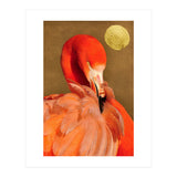 Flamingo With Golden Sun (Print Only) thumbnail