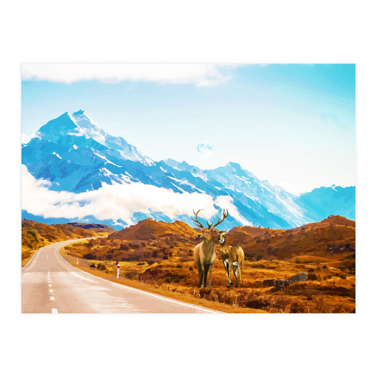 Wildlife (Print Only)