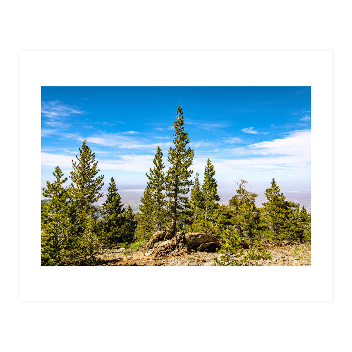 Pine Mountain (Print Only)