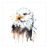 Bald Eagle - Wildlife Collection (Print Only) thumbnail