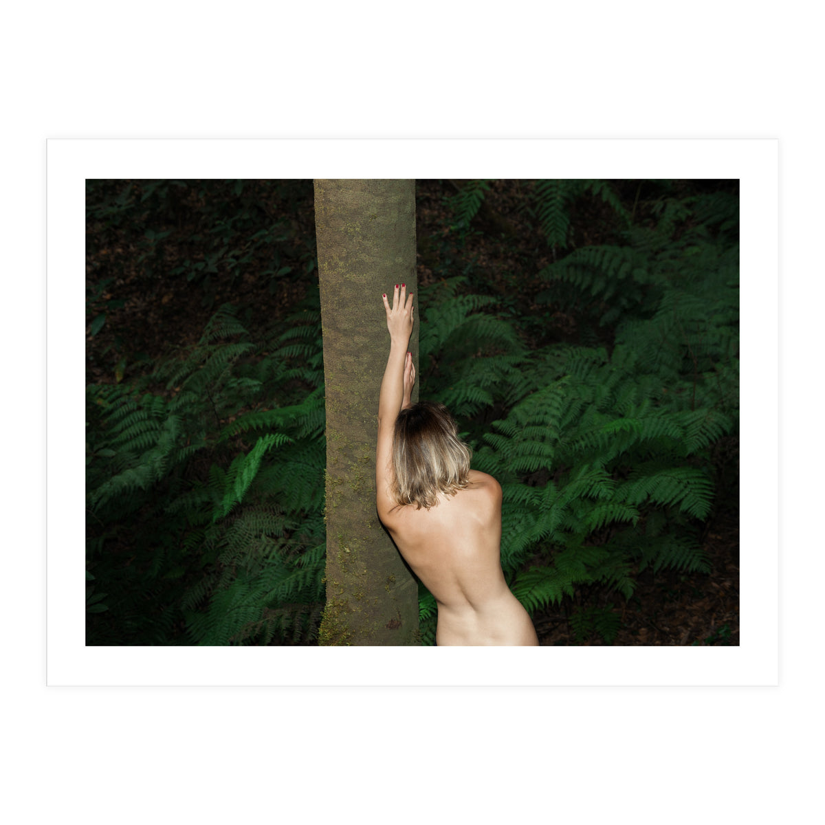 Between Some Ferns (Print Only)