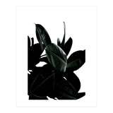Dark Tree (Print Only) thumbnail
