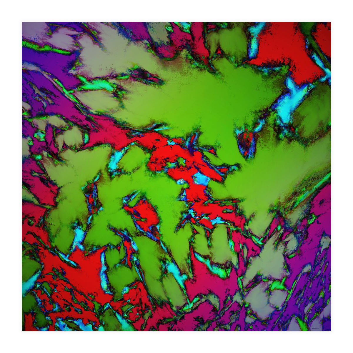 Enclosed Gardens (Print Only)