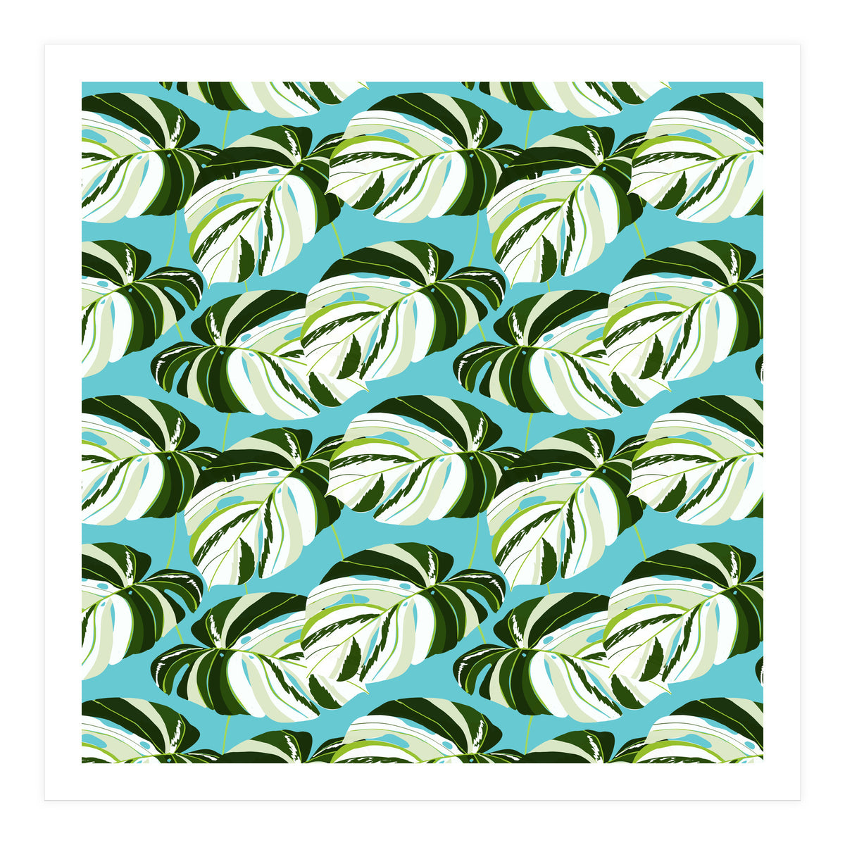 Summer Variegated Monstera | Rainforest Jungle botanical Plants Illustration | Boho Tropical Nature (Print Only)