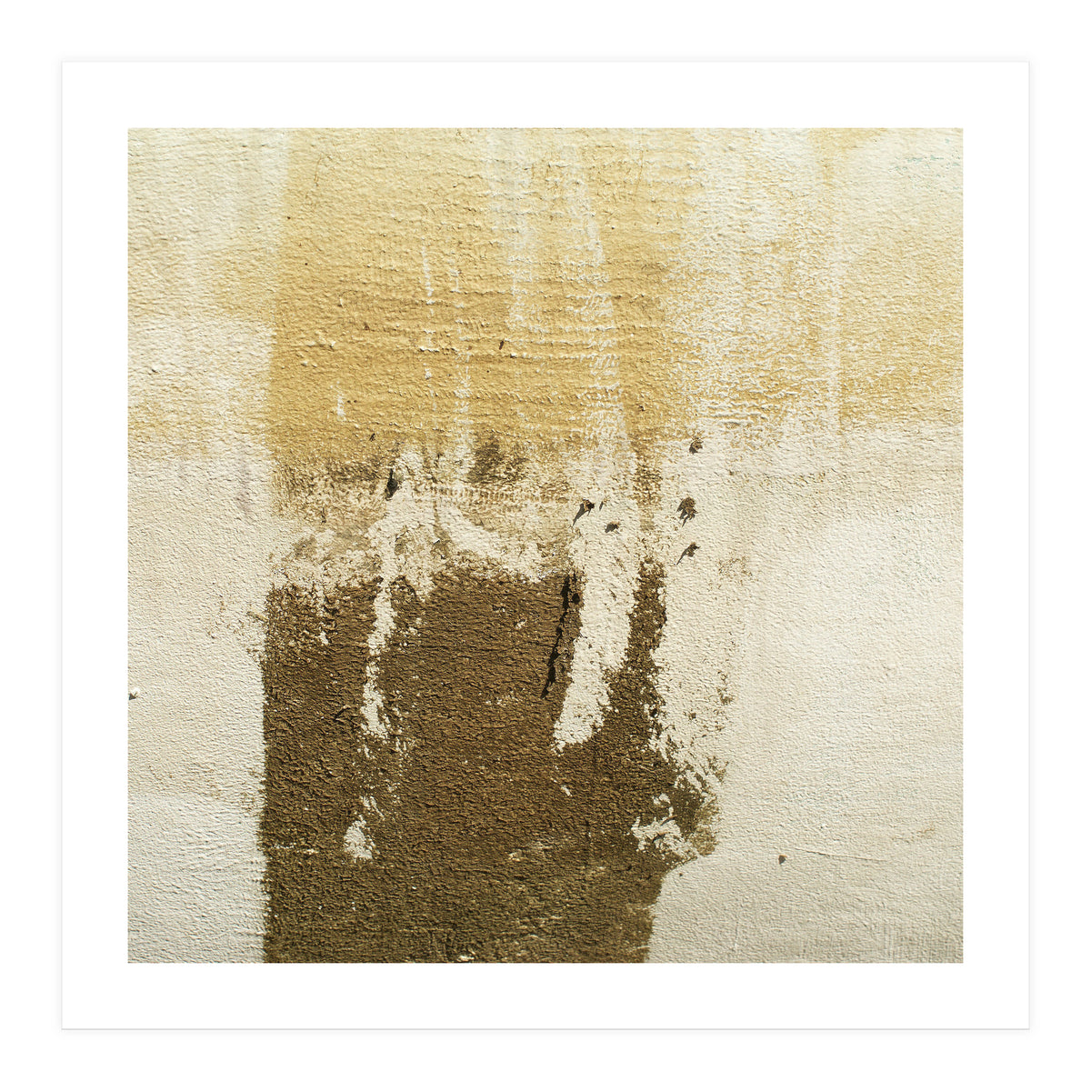 Harmony (Print Only)