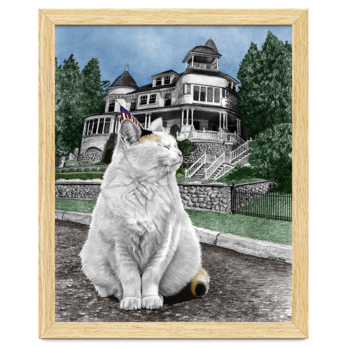 Mackinac Island Cat