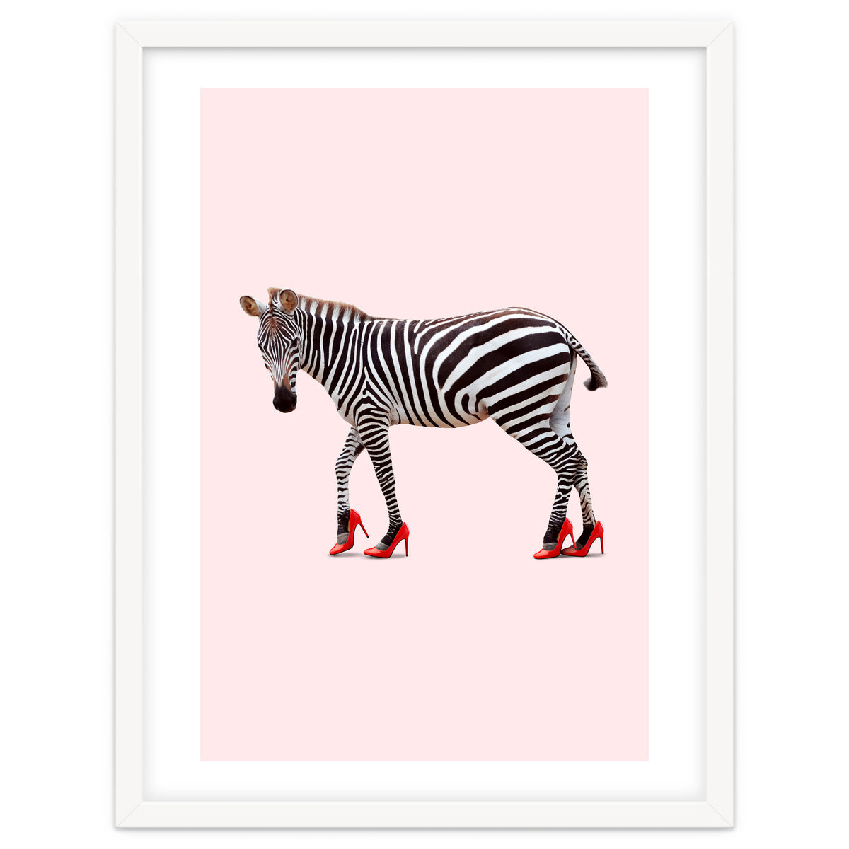 Zebra Heels
