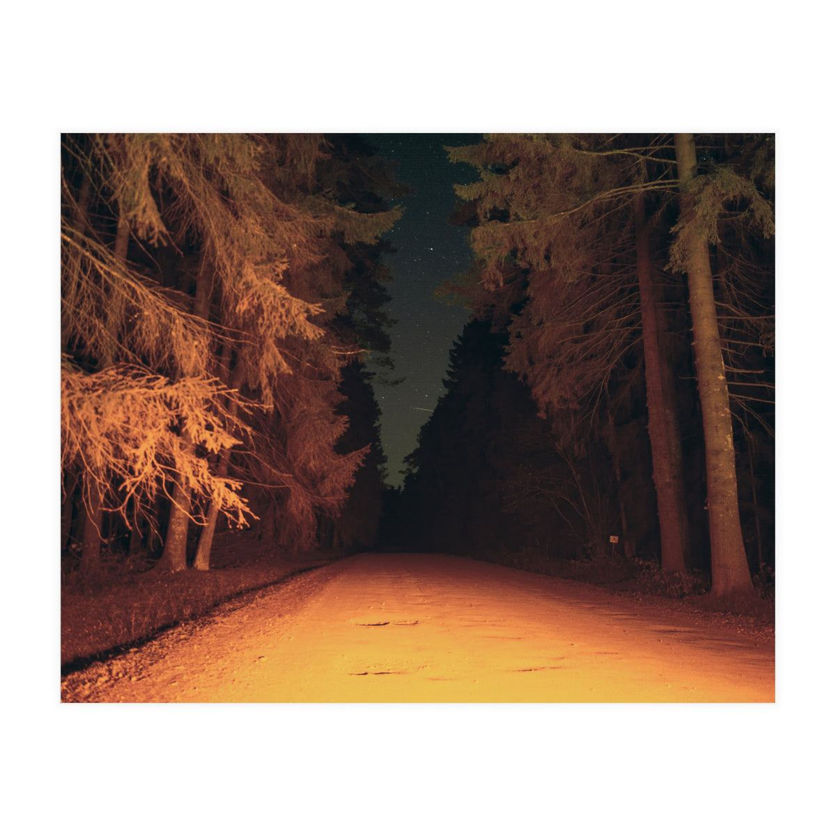 Serial Killer on His Way Home (Print Only)