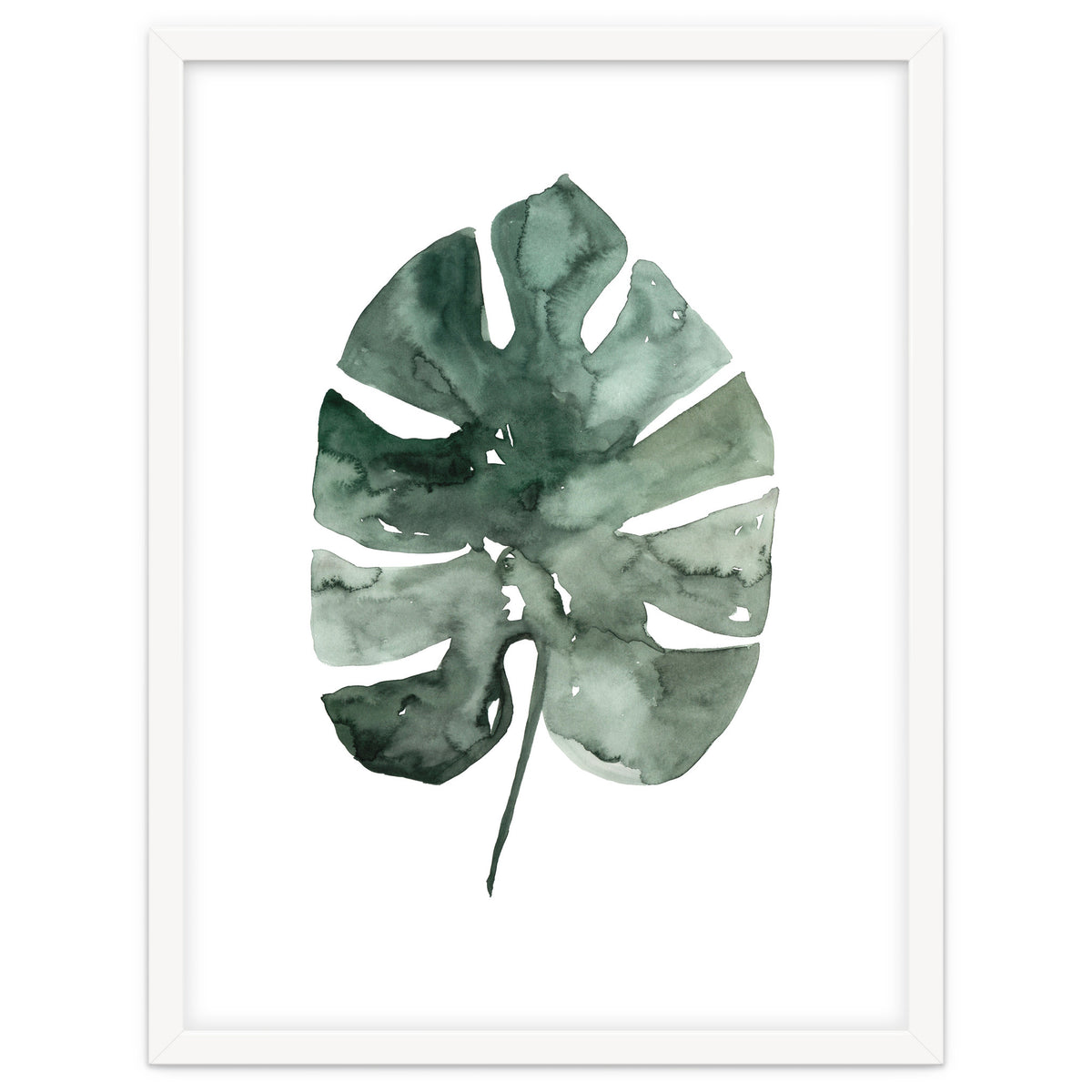 Botanical Illustration Monstera Leaf